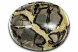 Eye-Eatching, Polished Septarian Bowl - Madagascar #350241-1